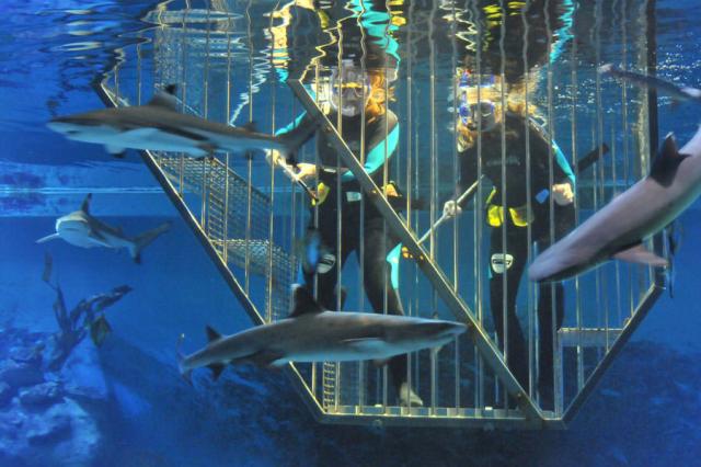 A víz az úr, de azért...