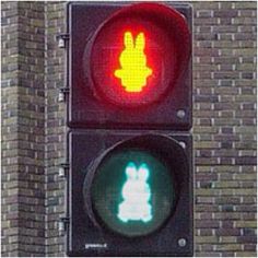 Egy 60 éves nyúl Utrechtből